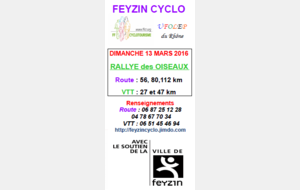 Rallye des oiseaux