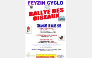 Rallye des oiseaux