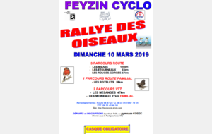 Rallye des oiseaux