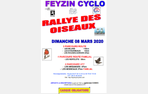 Rallye des oiseaux