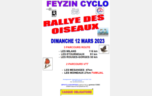 Rallye des oiseaux